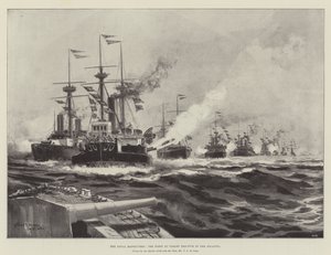Les Manœuvres Navales, la flotte à l